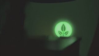 Collab Wall-E Eva Eva Eva Sparta Siemens Mix