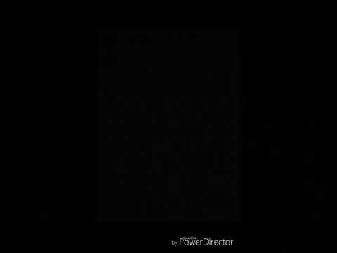 متى يبيض البط