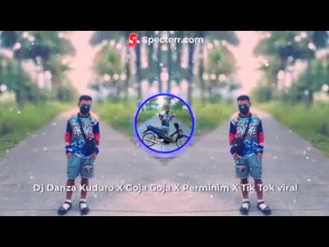 Dj Danza Kuduro X Goja Goja X Perminim Tik Tok 2021