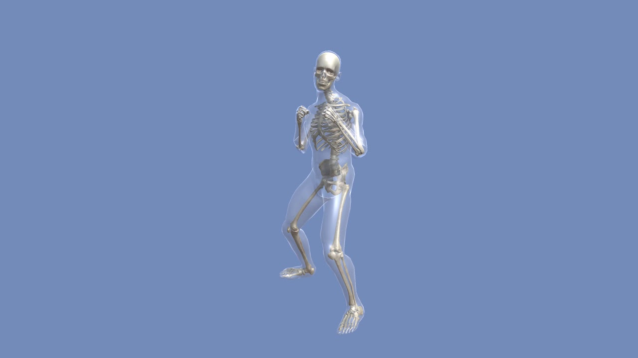 Skeletal System RIG for mecanim, FinalIK AR VR for Unity - YouTube