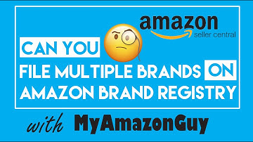 Can You File Multiple Brands on Amazon