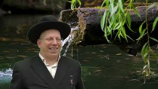 הרב ליאור גלזר מנחה במירון קורע מצחוק