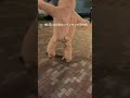ダメだよそんな事したら