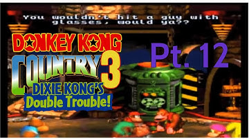 DKC 3: Dixie Kong