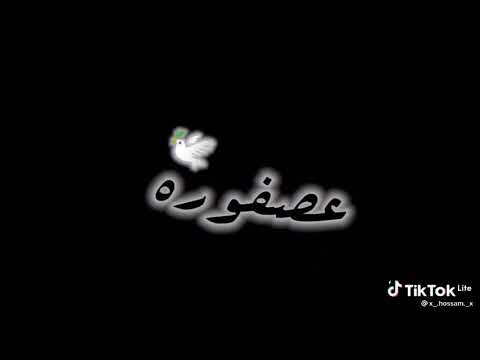 عصفورة يا جمالو عليكي سنيورا حالة واتس شاشة سوداء