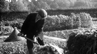 Making a Compost Heap (1941)