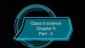 Class 6 science chapter 9 ( Plants : Forms and functions) part 3