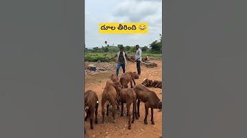 Gym 😜😂 ||#shorts #kcindian #comedy #funny #trending #viral #gym #wow #twist