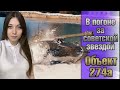 Полярная охота ♦ Смогу ли получить Об. 274а? ♦ День 3