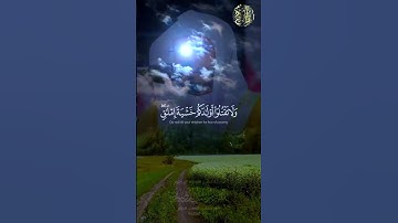 ماتيسر من #سورة_الإسراء #ياسر_الدوسري #تلاوة_خاشعة #القرآن_الكريم #quran #الحرم_المكي #اكسبلور