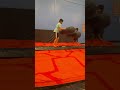 skyzone war fight #skyzone #bounce