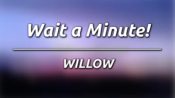 Willow Smith - Wait a Minute! (Karaoke/Instrumental)