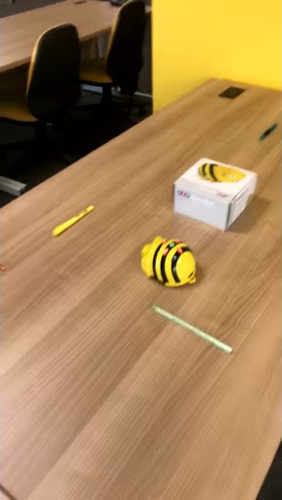 Beebot Video UCS