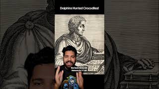 Dolphins Hunted Crocodiles!?