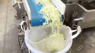 Cabbage Processing Line With Cutting Washing Drying And Packing Machine