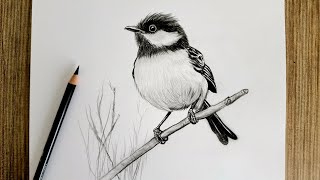 How to Draw a Realistic Bird / Step by Step Pencil Drawing Tutorial