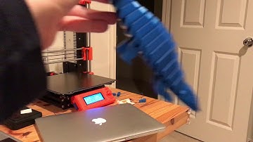 Flexible pangolin 3D print!