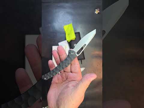 Civivi Spiny Dogfish   Full????soon!