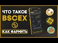 🟠 ЧТО ТАКОЕ BSCEX — Агрегатор ликвидности, Токен BSCX и Участие в IDO, фарминг (Большой обзор)