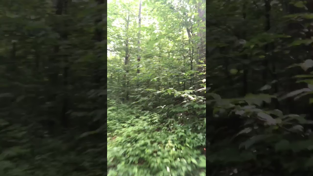 Mountain bike ride on a snowmobile trail in Wardsboro Vt YouTube