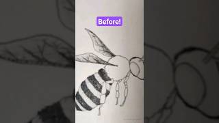How To Draw Insects And Bugs