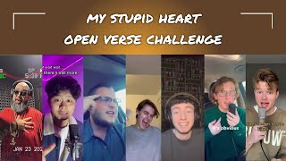 Download lagu My Stupid Heart OPEN VERSE CHALLENGE #walkofftheearth #tiktokviral #mystupidheart