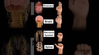 #yoga 😱#motivation #yoga🔱 #yoga #mahadev #mahadev #viral #viral#yoga 🕉️#yoga #viral #viral🫀 #mudra,