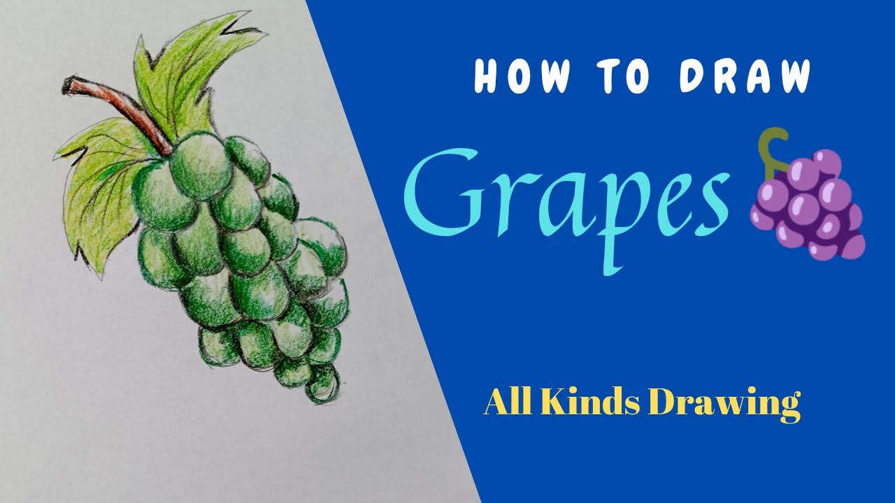 How to draw grapes step by step | Simple grapes drawing | All Kinds Drawing
