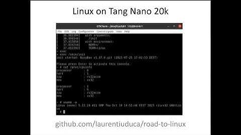 risc-v dual-core, verilog, $30 fpga board