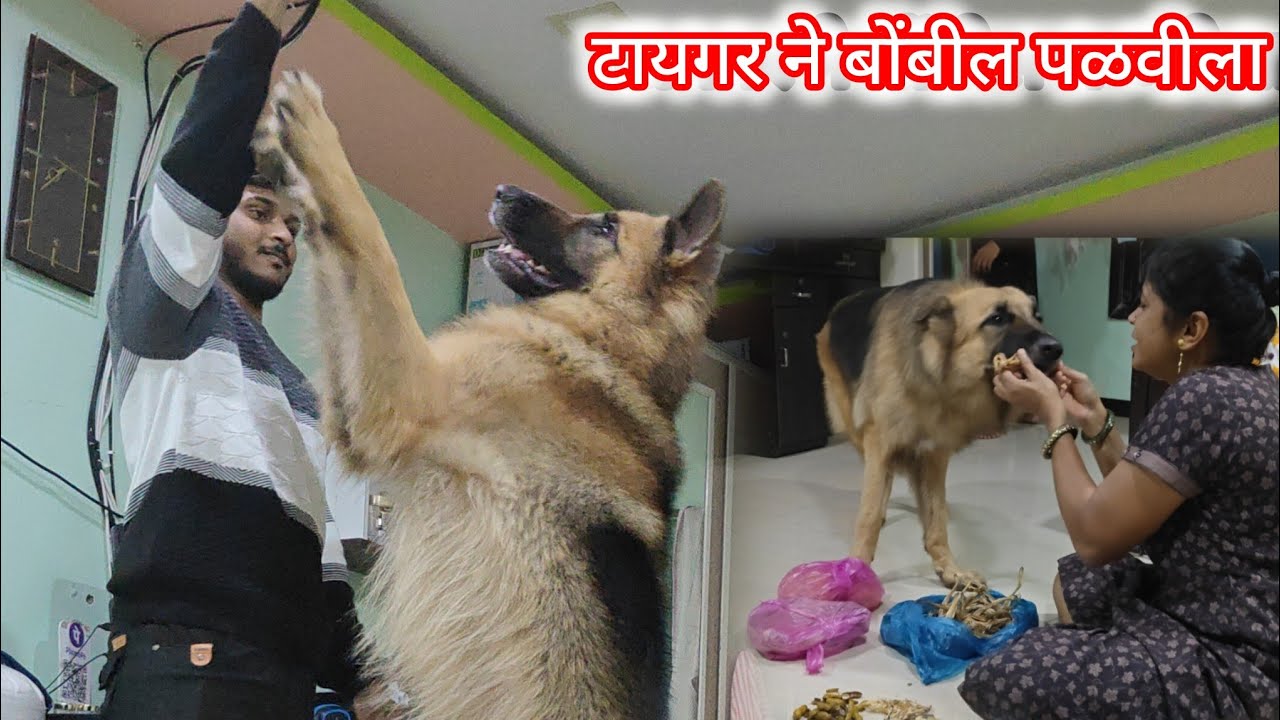 एकटाच घर सोडून मैदान हूंदडत बसलाय/ दादा सोबतची मस्ती