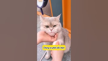 😂 Mimi Lục Thùng Rác Và Cái Kết Không Ngờ! #thúcưng #vậtnuôi #chómèohàihước #funny