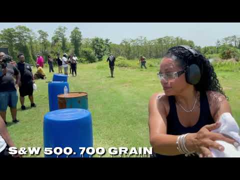 Smith & Wesson 500 (700 Grain)
