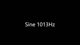 Sine 1013Hz Audio Only