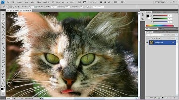 Photoshop Tutorial - Color Splash - Black and White Photo with Colored Parts