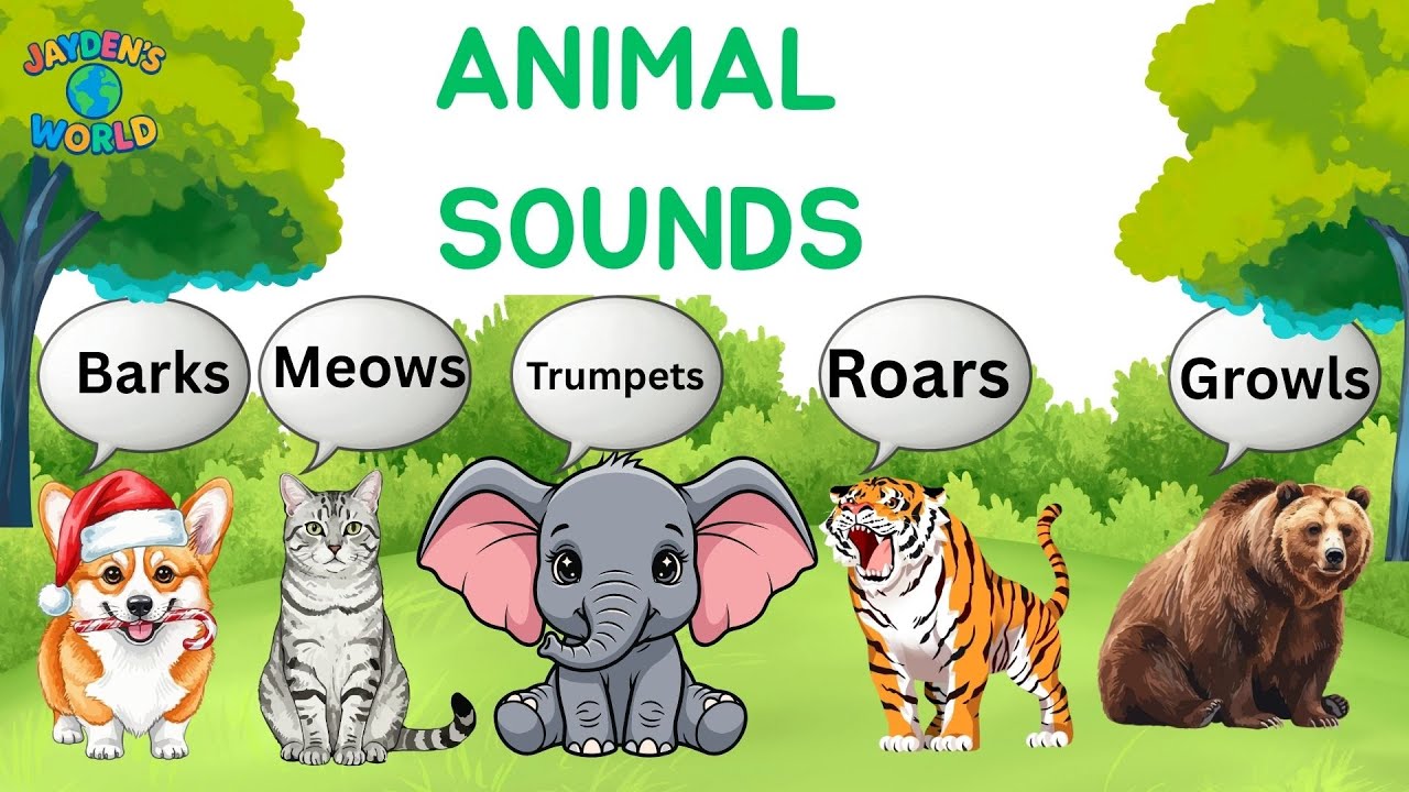 Animals & Their Sounds 🐯🦉 | Fun Learning for Kids