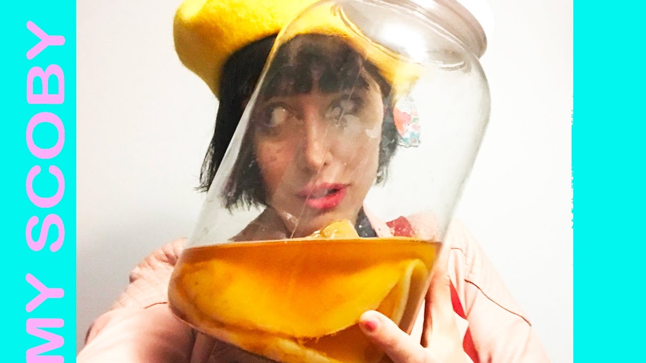 I finally found my Scoby baby ! KOMBUCHA 