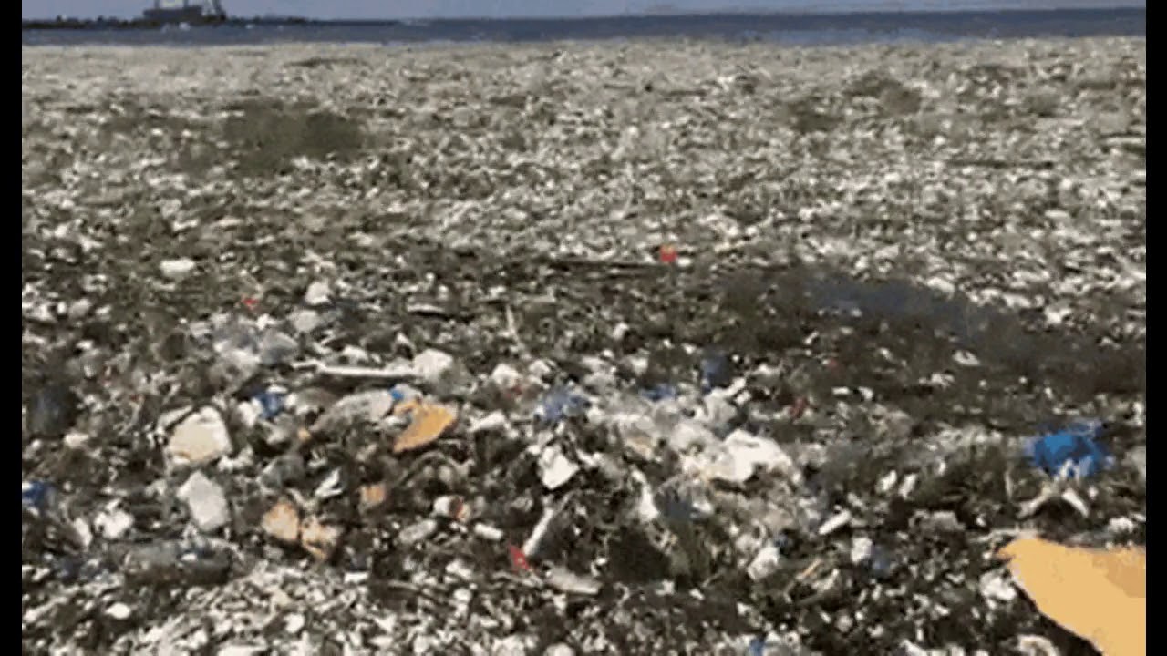 war on plastic