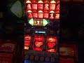 Reflex gaming pub fruits android fiddle a fortune fruit ...