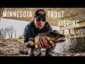 This tiny minnesota creek is full of big trout one after another