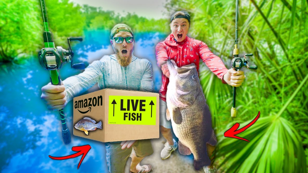 1v1 Live Bait Fishing CHALLENGE (BIGGEST FISH WINS) YouTube