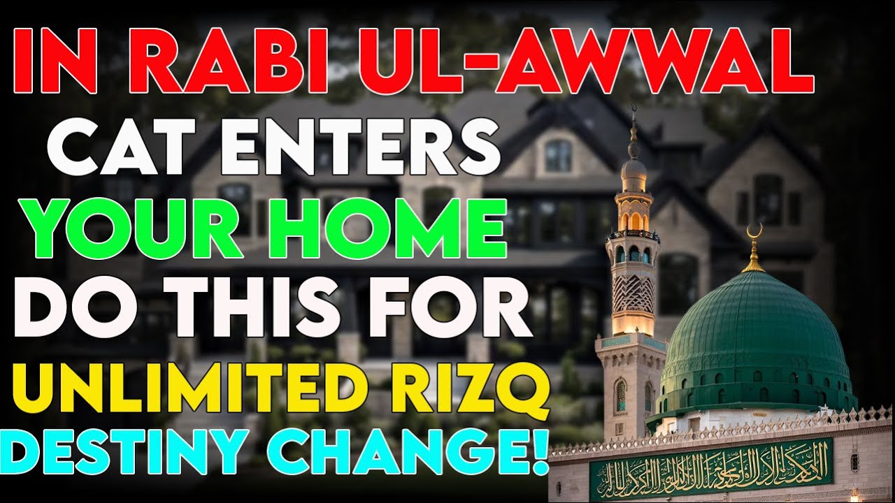 Islamic Ruling on Cats | Blessings of Cats in Islam | Dreams & Hadith about Cats