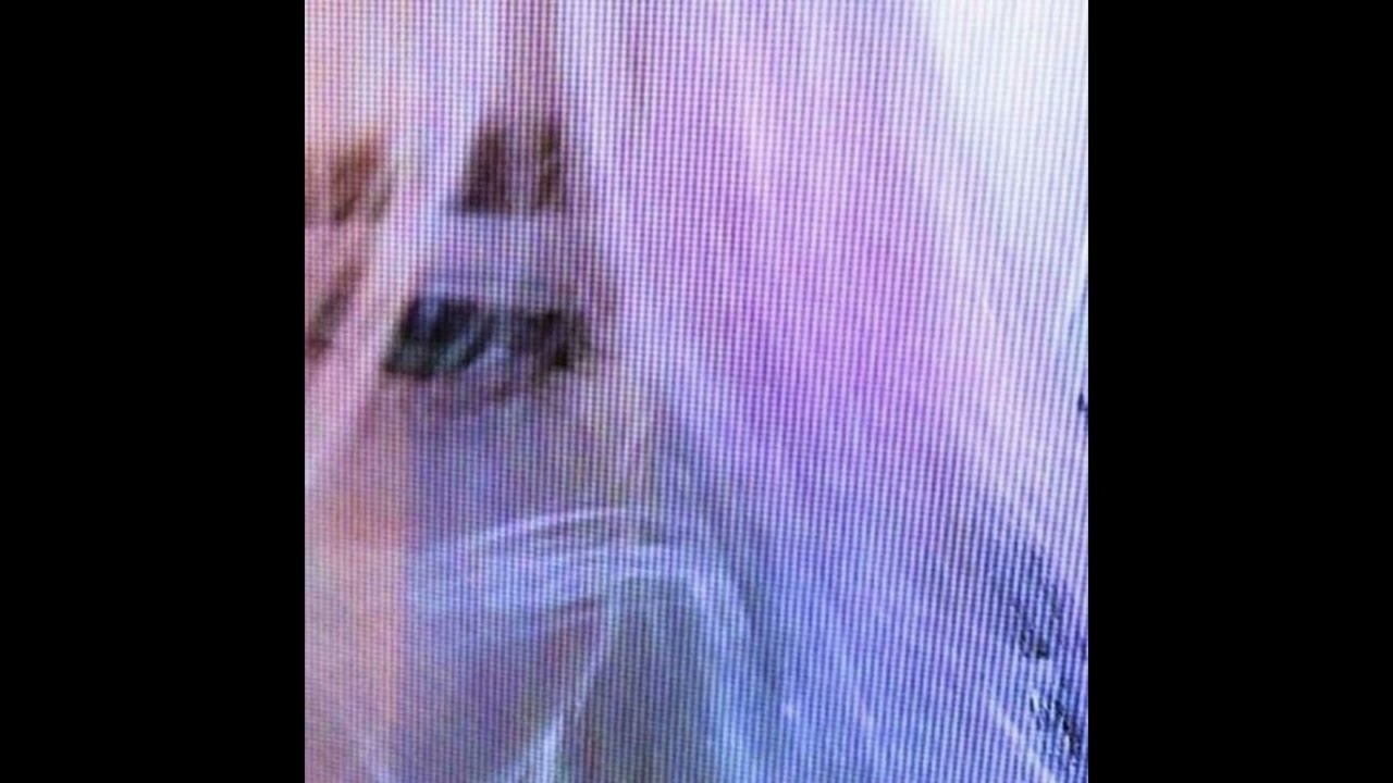 (free for profit) tana type beat 