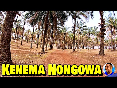 KENEMA NONGOWA - Eastern Province Sierra Leone  🇸🇱 Roadtrip 2022 - Explore With Triple-A