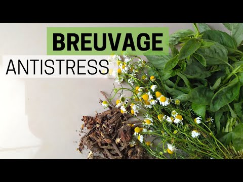 Vidéo: Comment traiter l'anxiété : les remèdes à base de plantes peuvent-ils aider ?