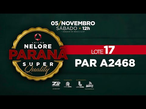 LOTE 17 PAR A2468