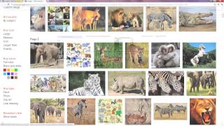 Google Search Tip 13 - Basic Image Search screenshot 4