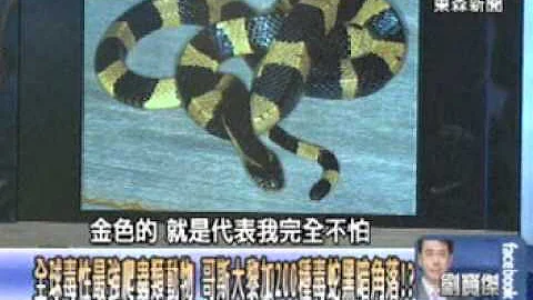 全球毒性最强爬虫类动物 哥斯大黎加200种毒蛇黑暗角落！？20140721-3 - 天天要闻