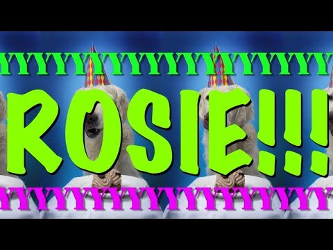 HAPPY BIRTHDAY ROSIE EPIC Happy Birthday Song 