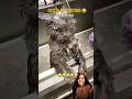 CAT'S 🐱 THINGS 😂 PART - 10