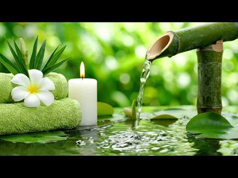 Soft Focus Bamboo Pond Fountain 💧 Slow Piano, Clear Water, Deep Relaxation